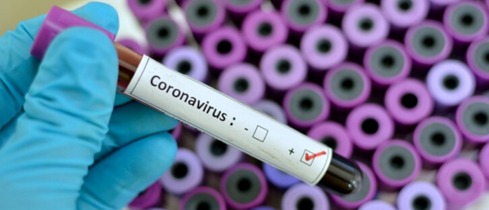 Coronavirus Declared Global Health Emergency by WHO